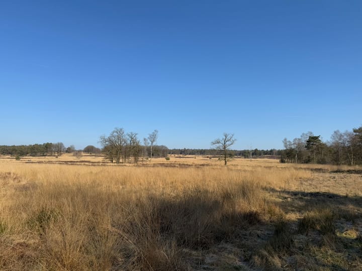 Foto 26 van Krimweg 152-NT25