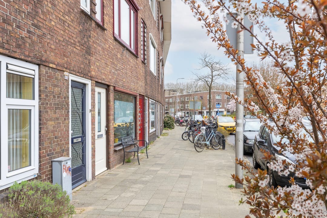 Foto 38 van Laan van Nieuw-Guinea 33-BS