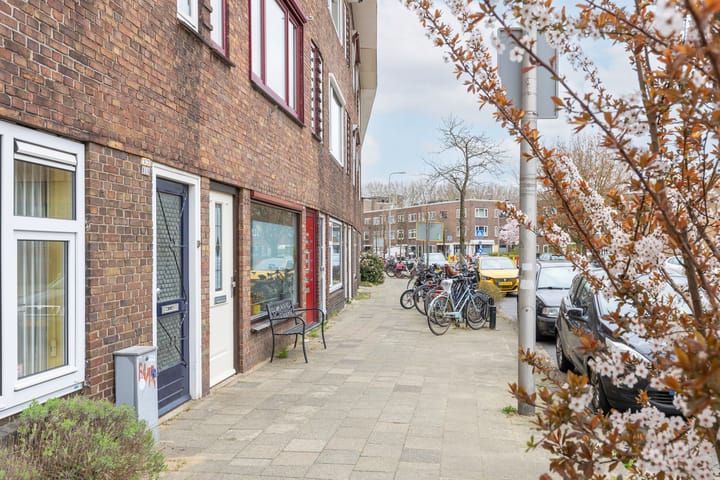 Foto 38 van Laan van Nieuw-Guinea 33-BS