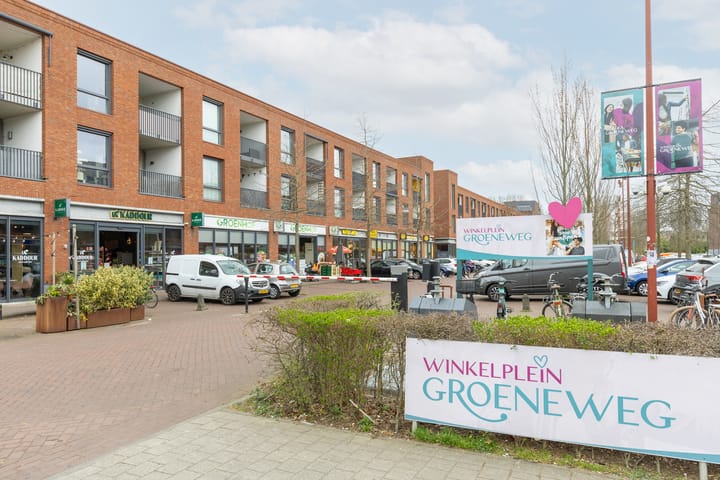 Foto 40 van Laan van Nieuw-Guinea 33-BS