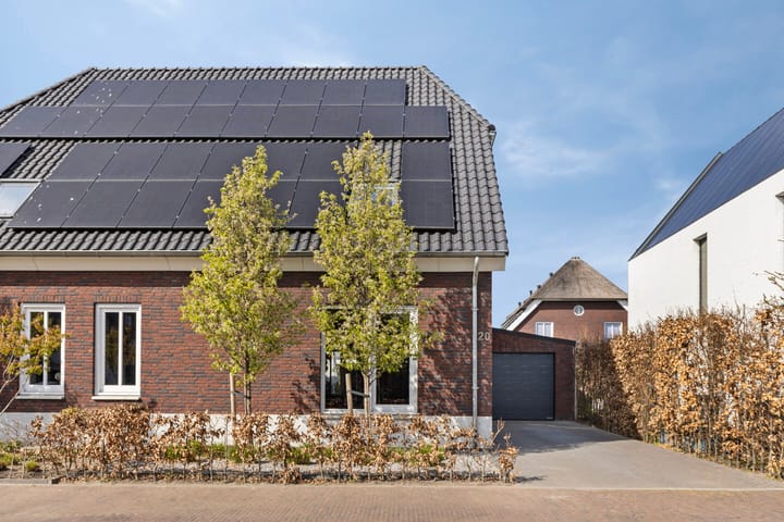 Foto 4 van Populier 20