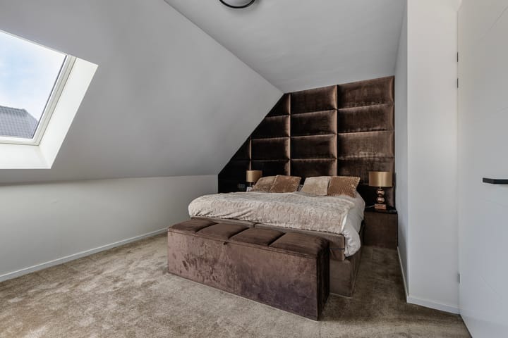 Foto 15 van Populier 20