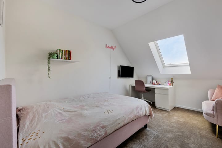 Foto 19 van Populier 20