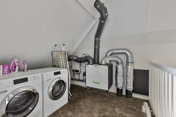 Foto 21 van Populier 20