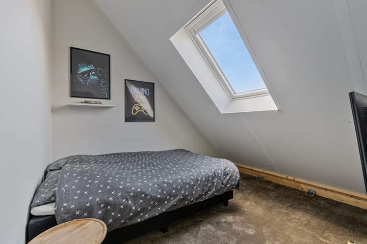 Foto 22 van Populier 20