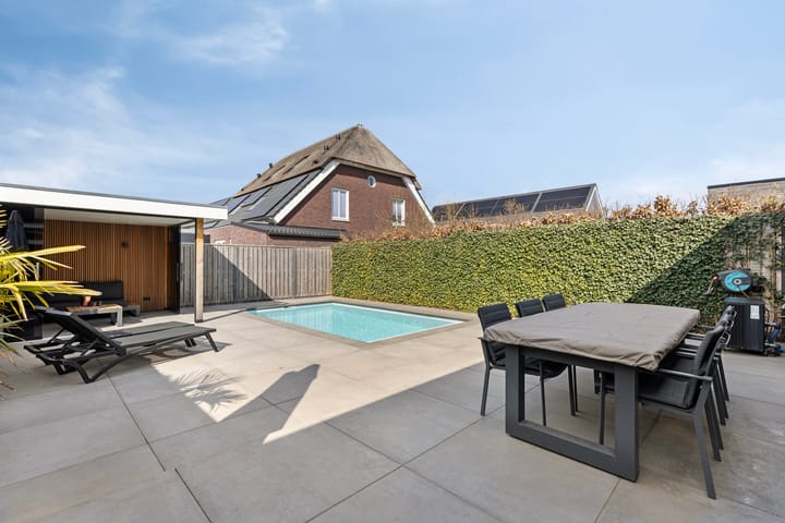 Foto 24 van Populier 20