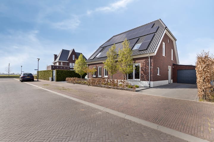 Foto 29 van Populier 20