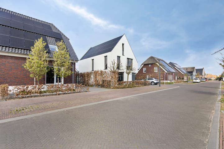 Foto 30 van Populier 20