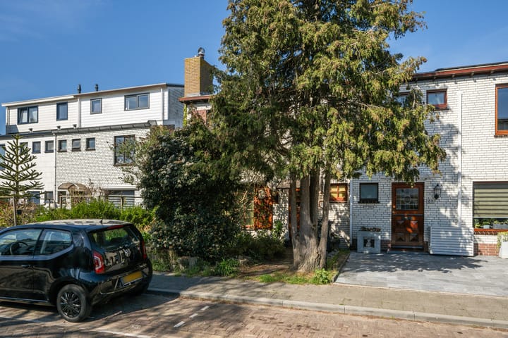 Foto 22 van Ternatestraat 21