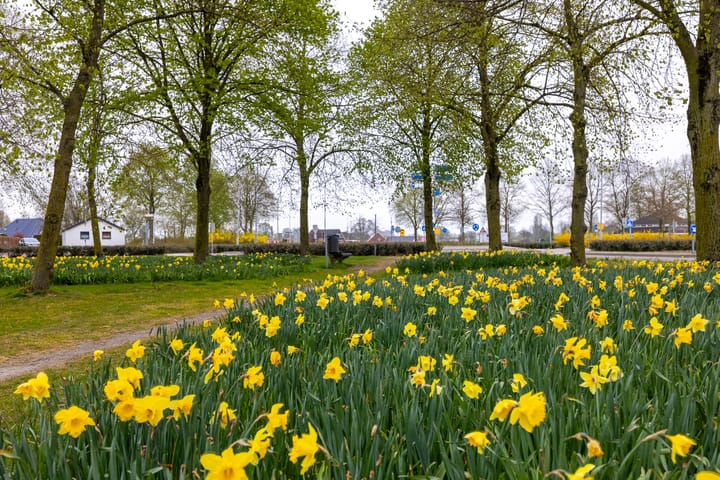 Foto 63 van Hamalandstraat 15