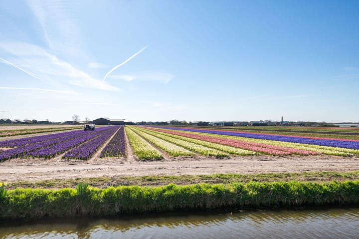 Foto 3 van De Witte Raaflaan 169