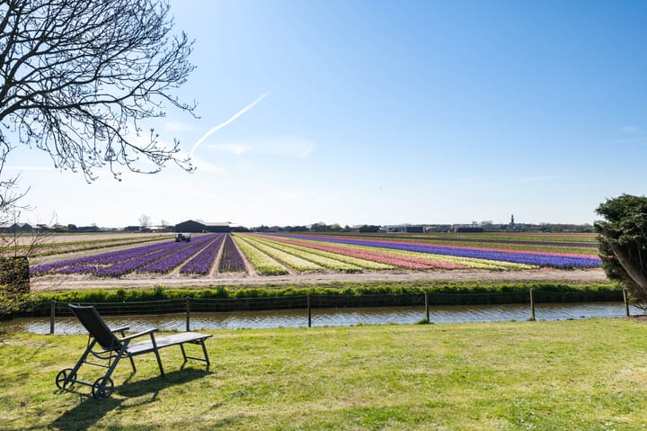 Foto 30 van De Witte Raaflaan 169