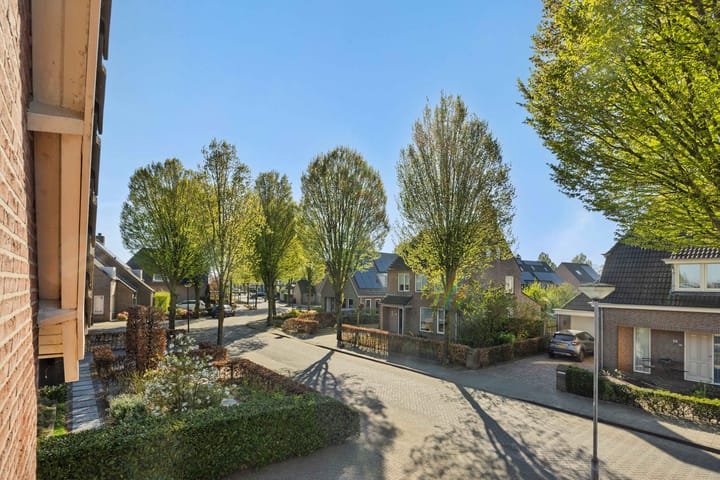 Foto 35 van Dissel 20