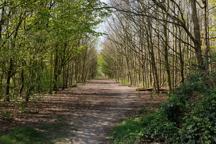 Foto 4 van Stormzeil 52