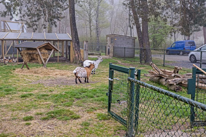 Photo 7 of Krachtighuizerweg 38-38