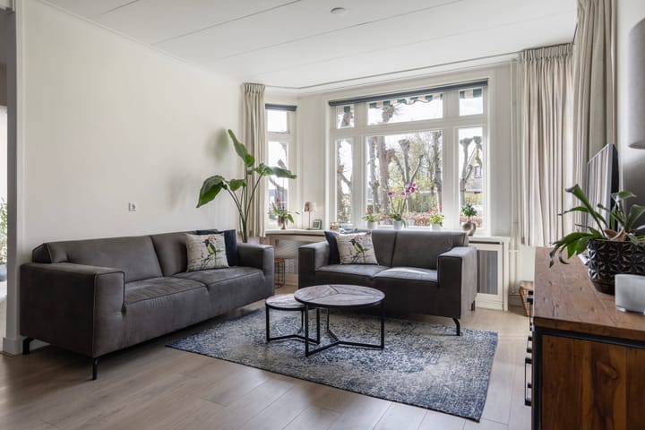 Foto 2 van Skilpaed 5