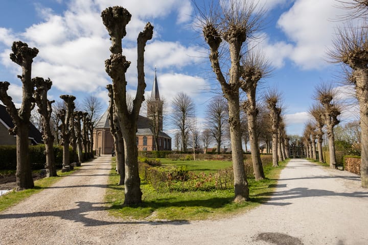 Foto 33 van Skilpaed 5