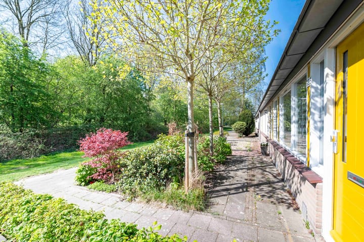 Foto 2 van Dorpersveld 903