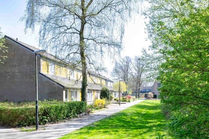 Foto 30 van Dorpersveld 903