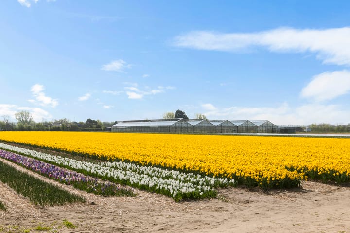 Foto 31 van Bos, Zee en Duin 73