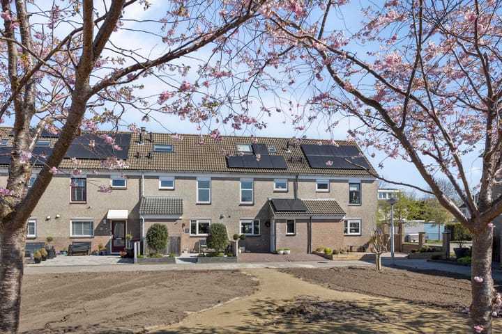 Foto 6 van Trintel 31