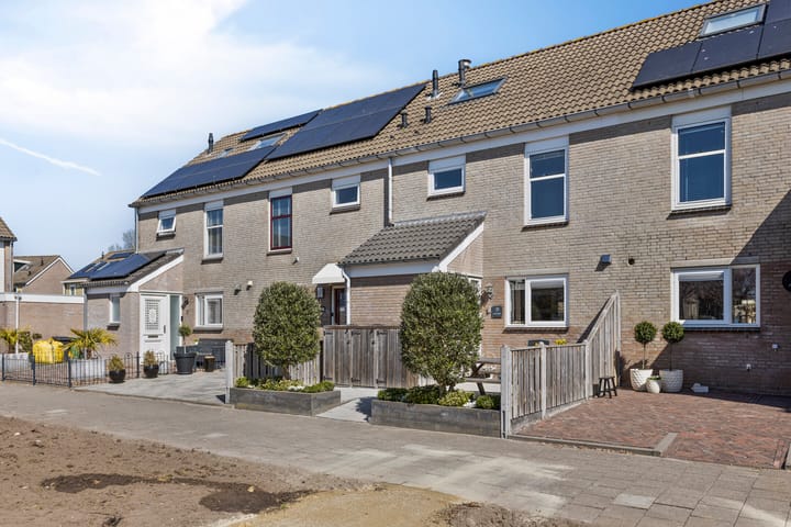 Foto 8 van Trintel 31