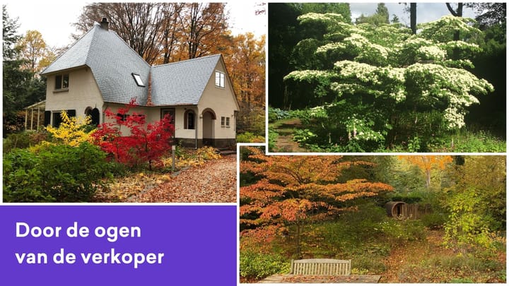 Foto 46 van Wentholtweg 5