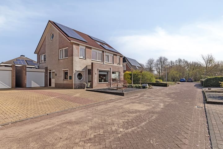 Foto 3 van Buizerd 10