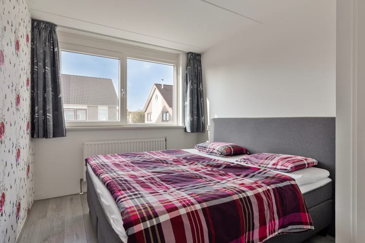 Foto 17 van Buizerd 10