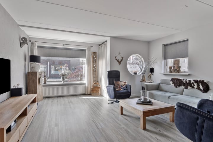 Foto 8 van Buizerd 10