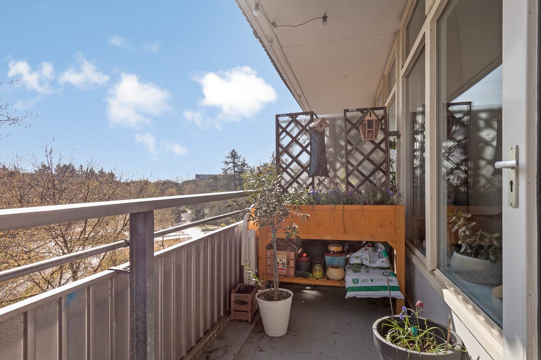 Foto 22 van Laan van Vollenhove 946