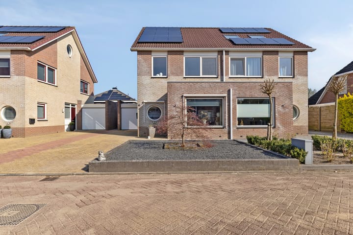 Foto 2 van Buizerd 10