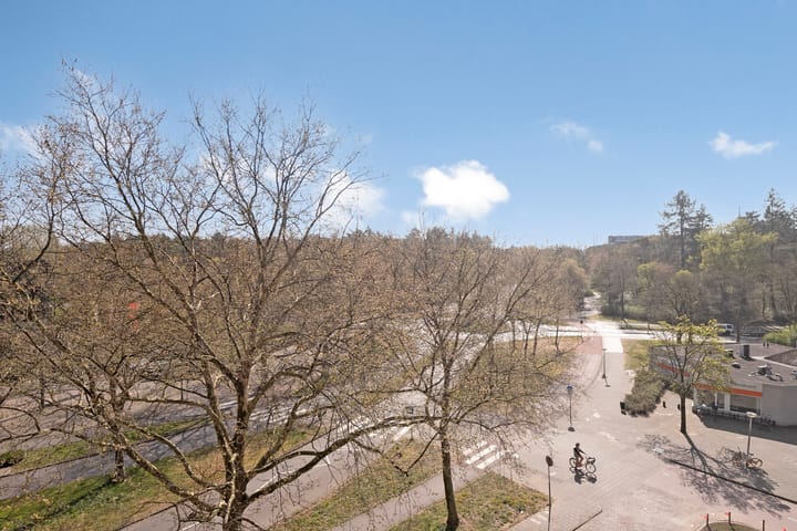 Photo 24 of Laan van Vollenhove 946