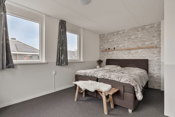 Foto 18 van Buizerd 10