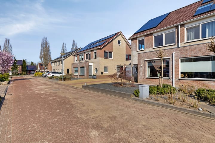 Foto 4 van Buizerd 10