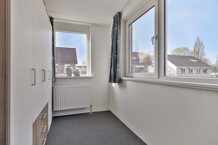 Foto 20 van Buizerd 10