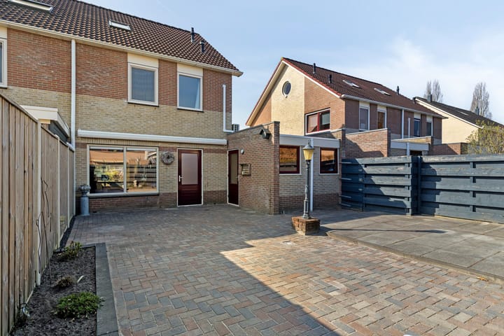 Foto 26 van Buizerd 10