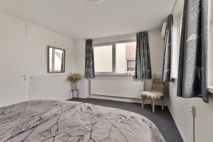 Foto 19 van Buizerd 10