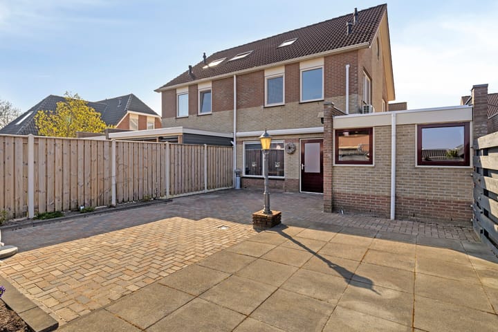 Foto 27 van Buizerd 10