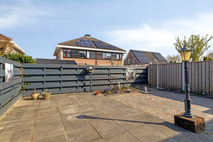 Foto 29 van Buizerd 10