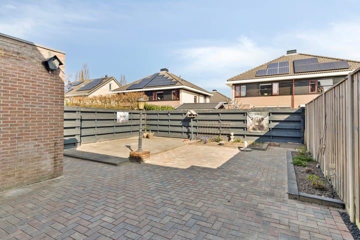 Foto 28 van Buizerd 10