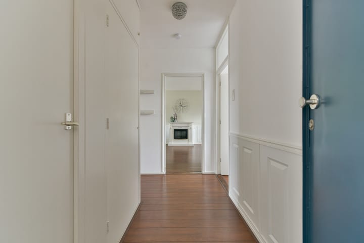 Foto 31 van Nicolaas Maesstraat 66