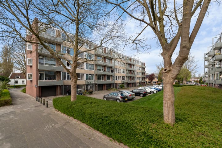 Foto 36 van Nicolaas Maesstraat 66