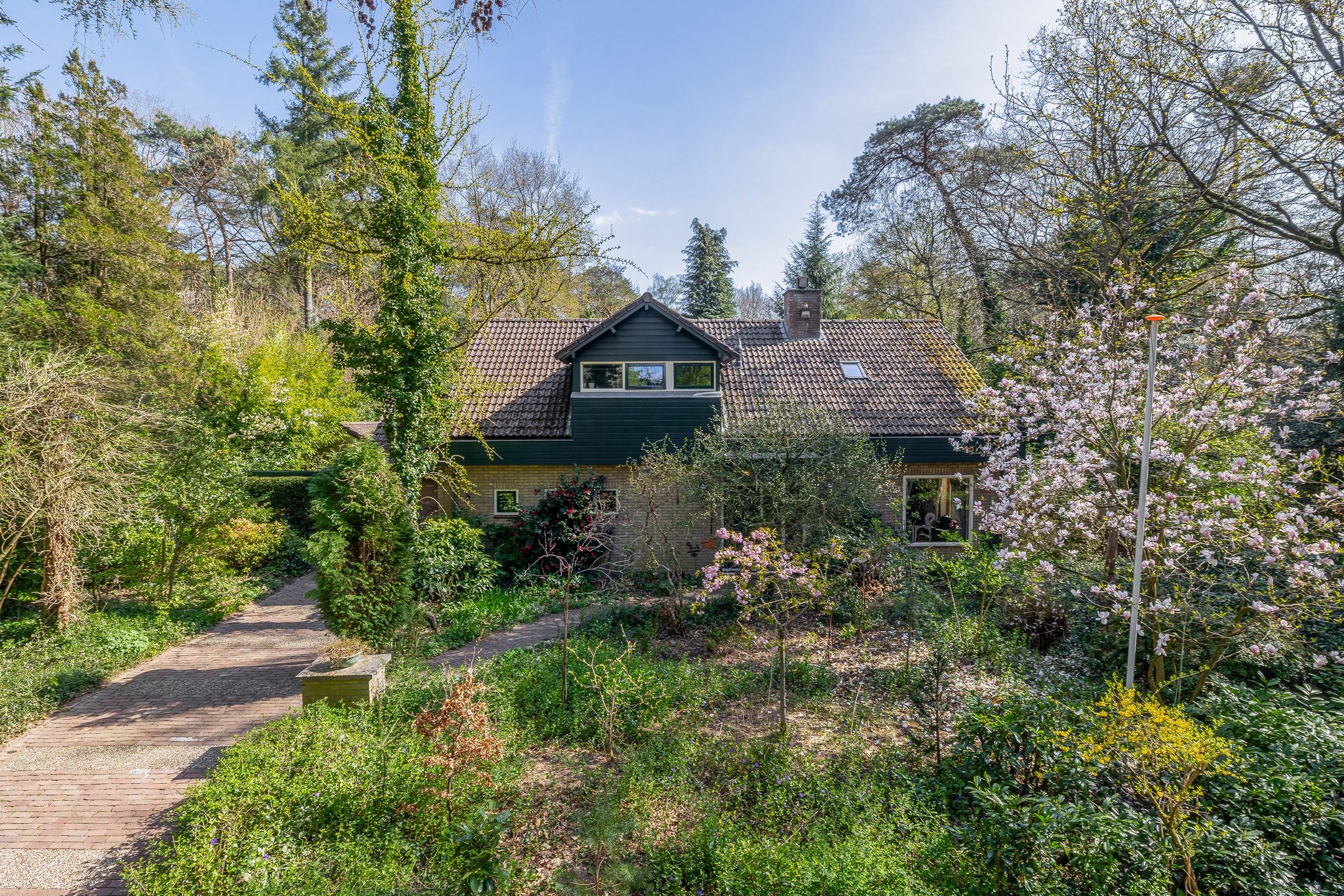 Foto 3 van Everlaan 26