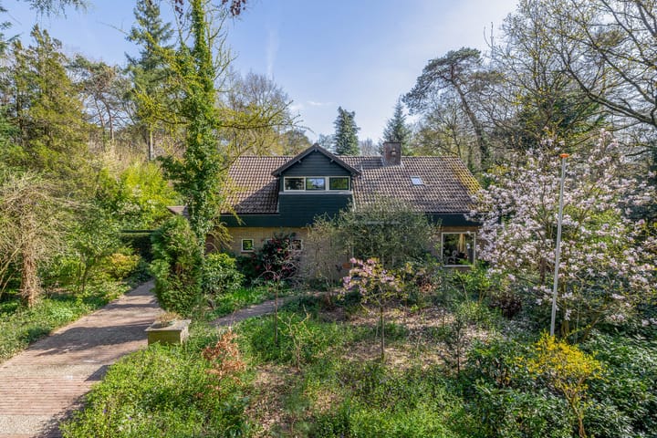 Foto 3 van Everlaan 26