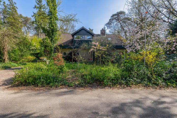 Foto 4 van Everlaan 26