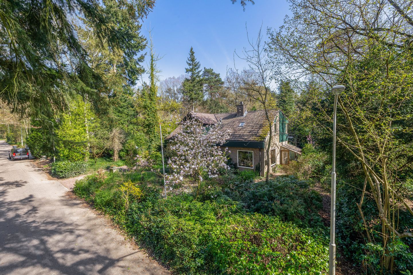 Foto 5 van Everlaan 26