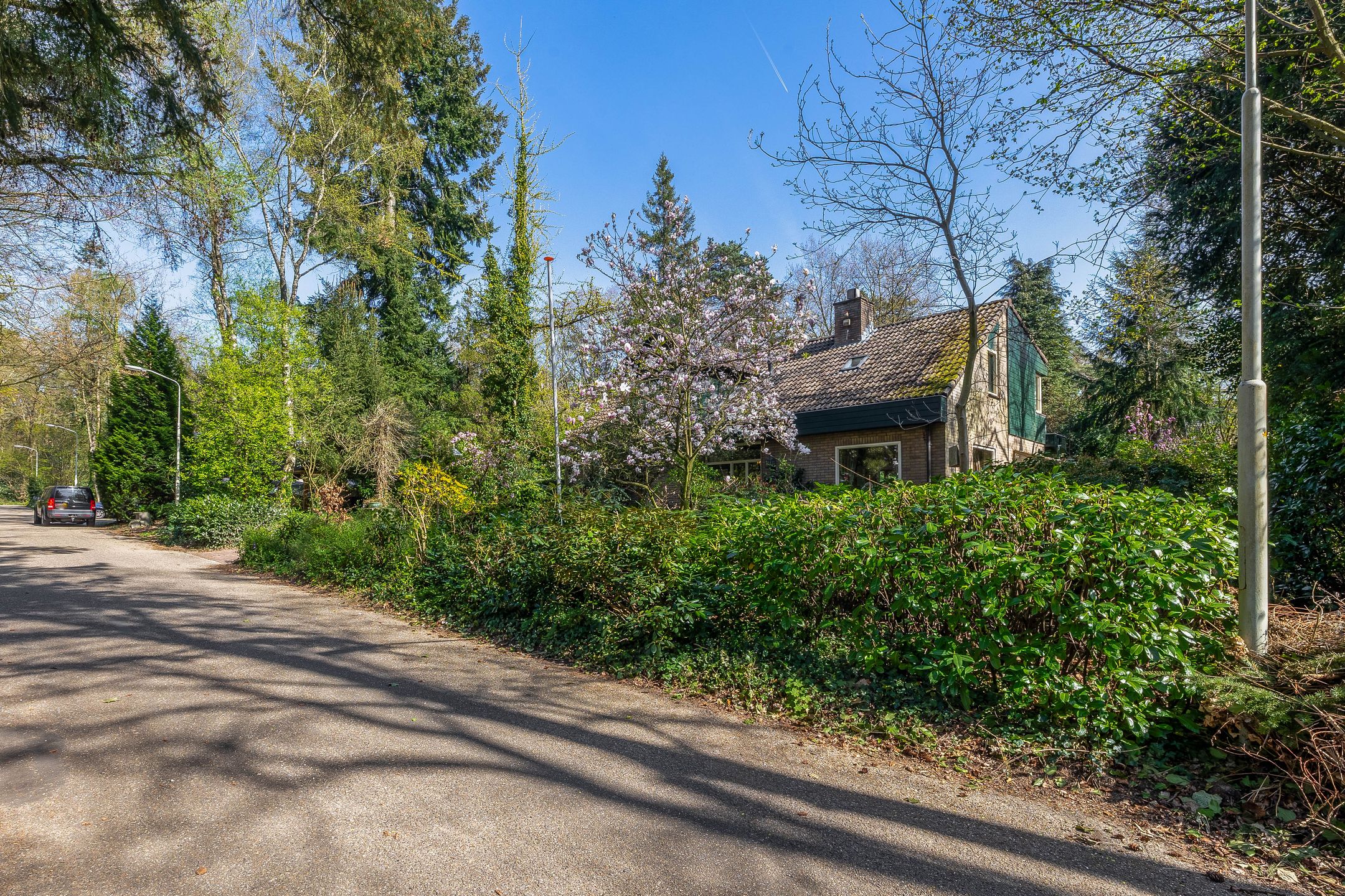 Foto 6 van Everlaan 26