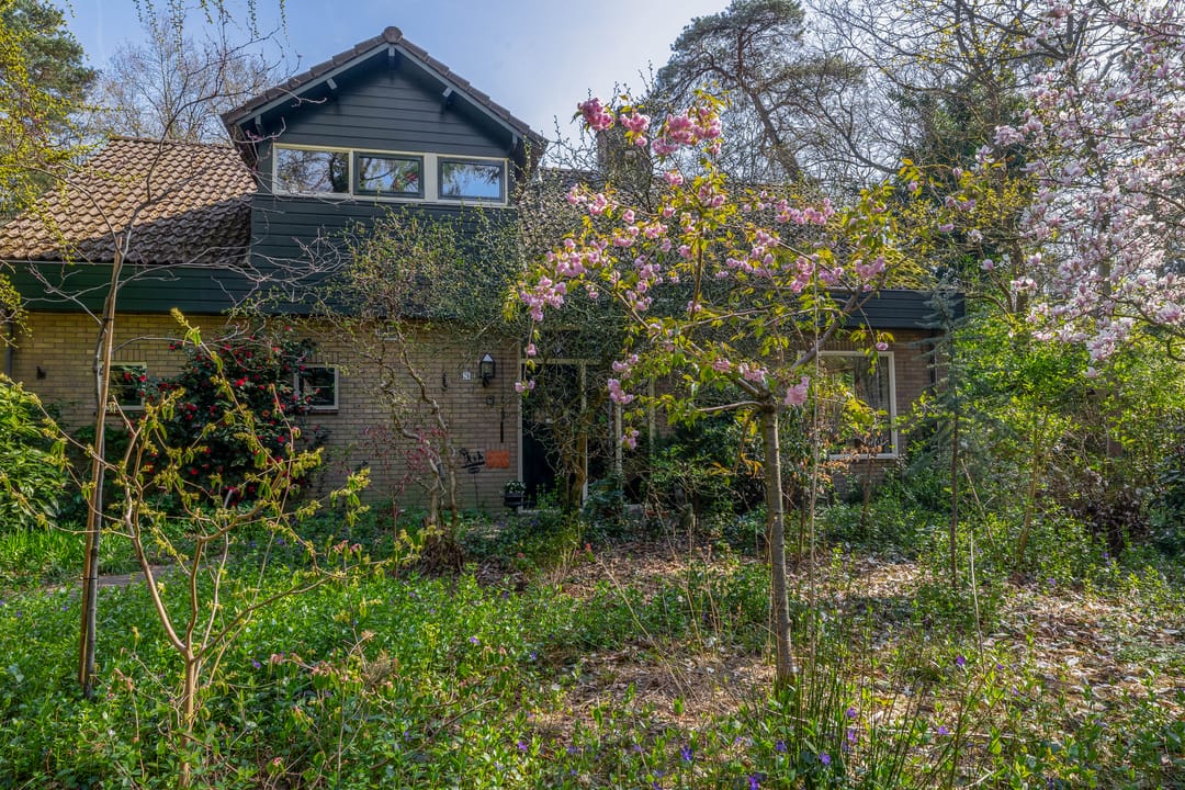 Foto 8 van Everlaan 26