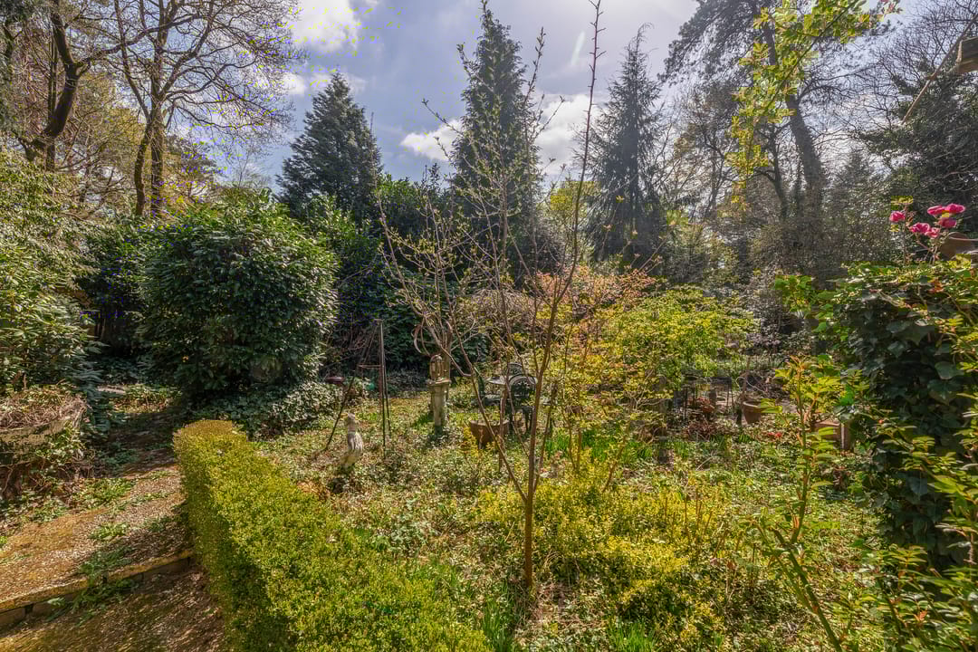 Foto 53 van Everlaan 26